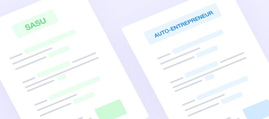 Devenir auto entrepreneur ou créer une entreprise